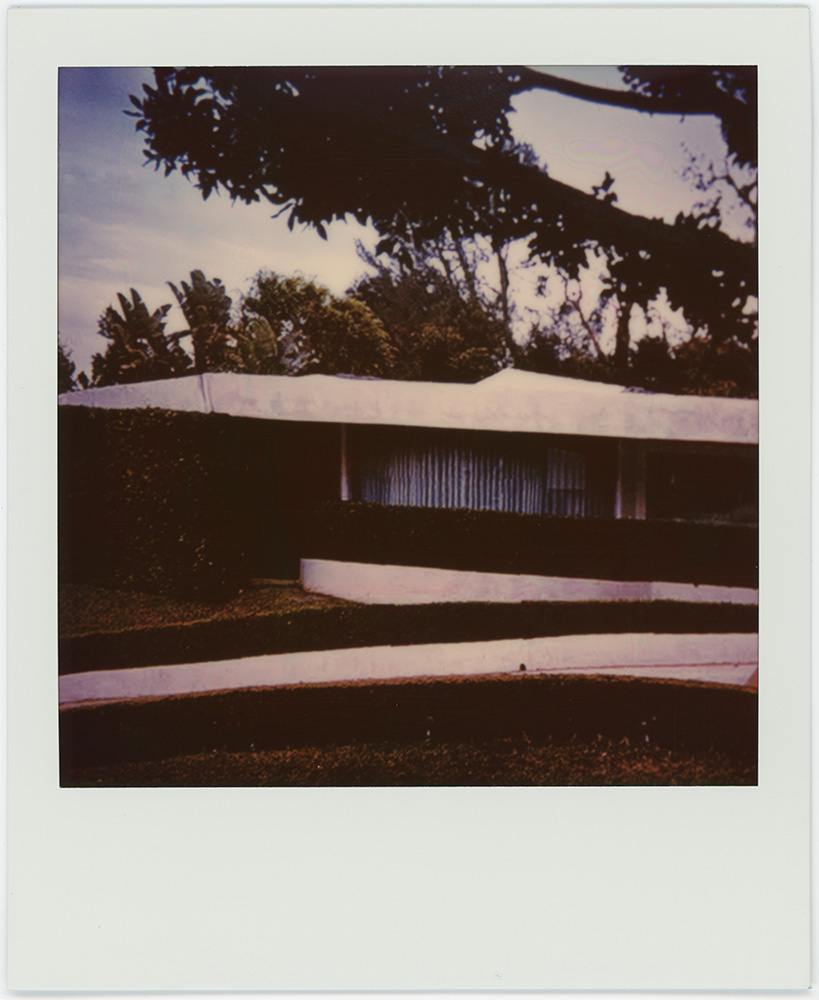 Polaroid 73